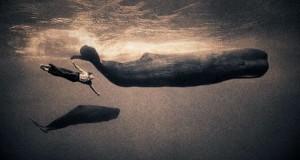 normal_Gregory_Colbert_121