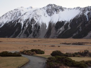 Monte Cock