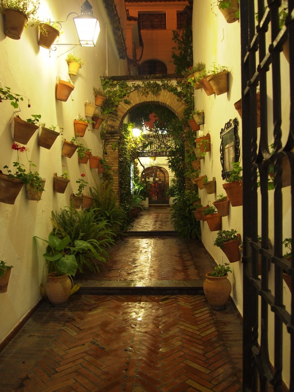 Vista nocturna de calle cordobesa.