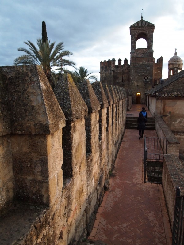 El Alcazar desde las almenas.