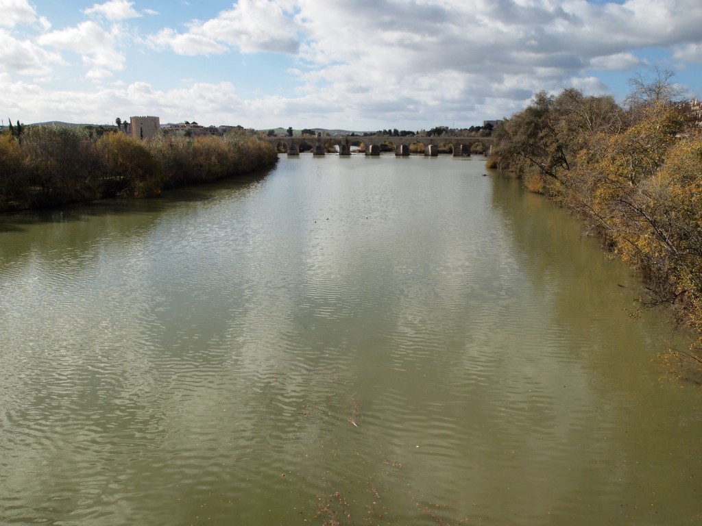 El rio Guadalquivir