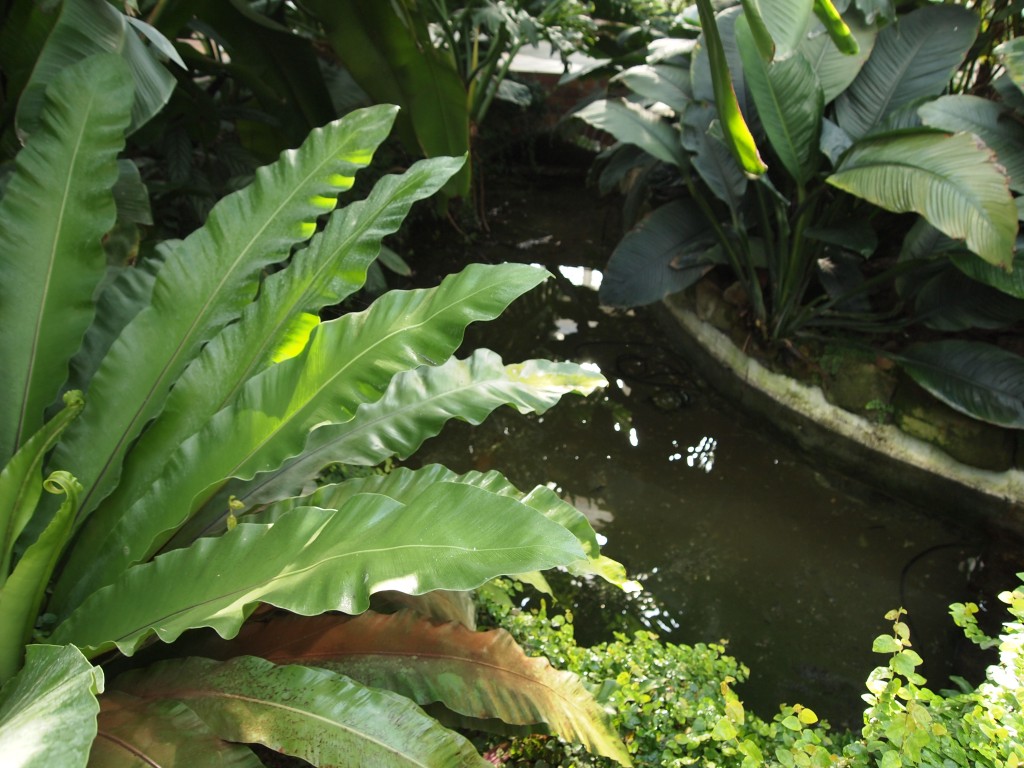 Palacio de Cristal de Arganzuela